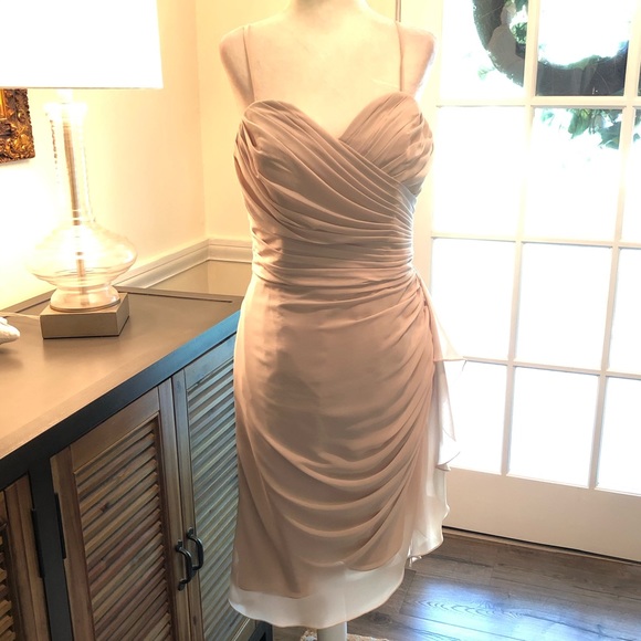 NWT! WATTERS FRENCH VANILLA CRINKLE CHIFFON DRESS - Picture 8 of 12